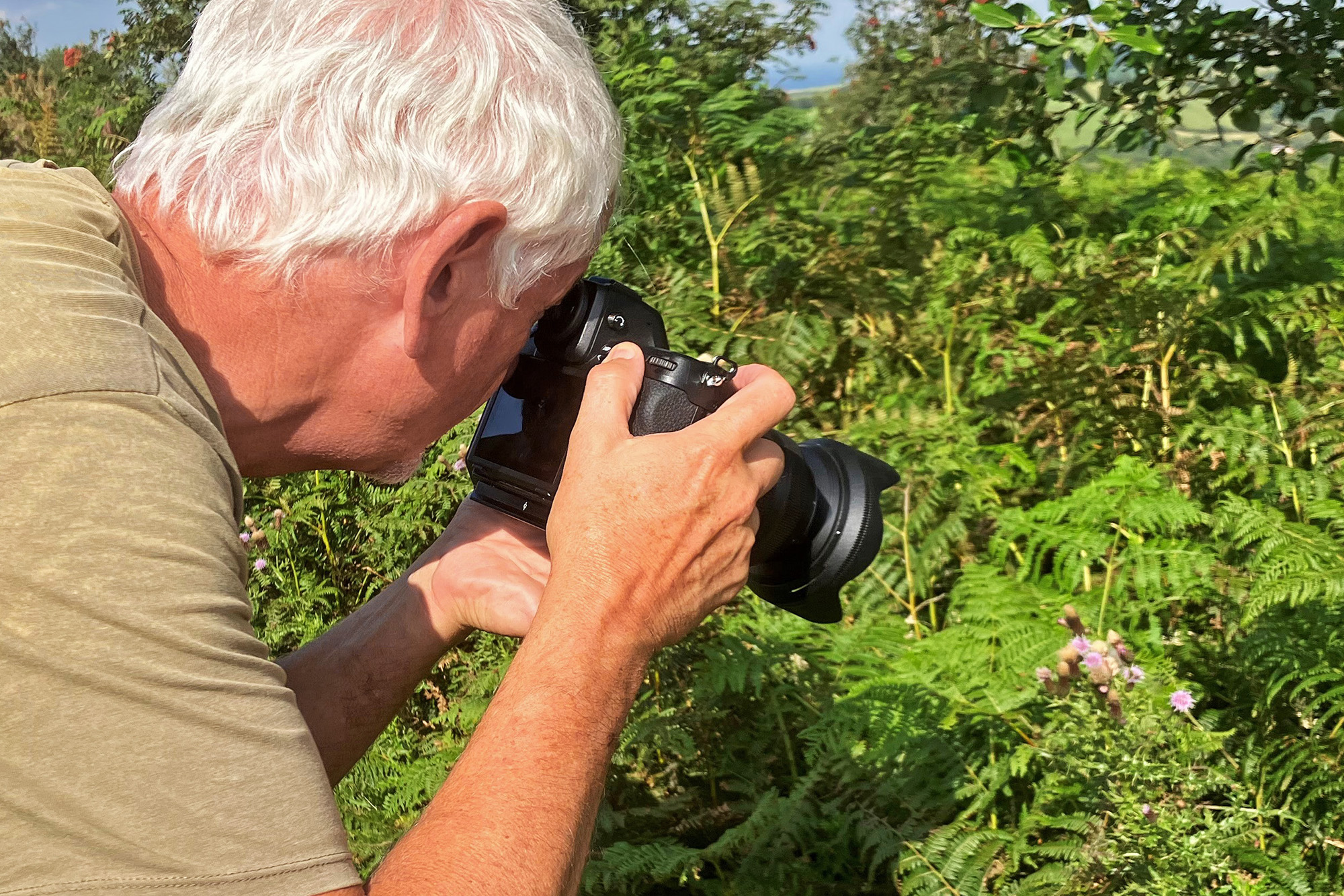Nigel A Ball holding Nikon Z8 and looking through viewfinder, composing flower, surrounded by green foliage