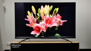 A showing of beautiful flowers Hisense U80G ULED 8K TV