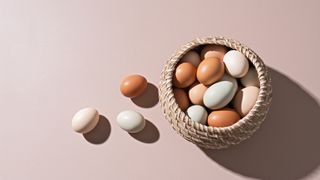 Why Diversification Isn't as Simple as 60/40 Anymore (and What You Can Do Instead)