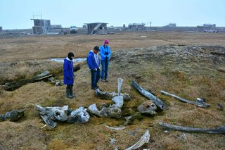 NRDC president Frances Beinecke looking at remains of a traditional home made from whale bones, near the Chuckchi Sea.