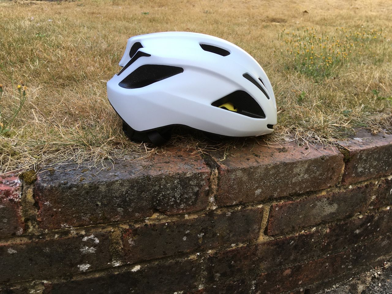 Specialized Align ii