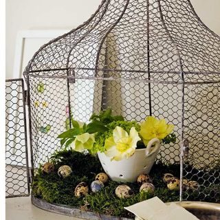 flower cage with yellow flower pot and easter eggs