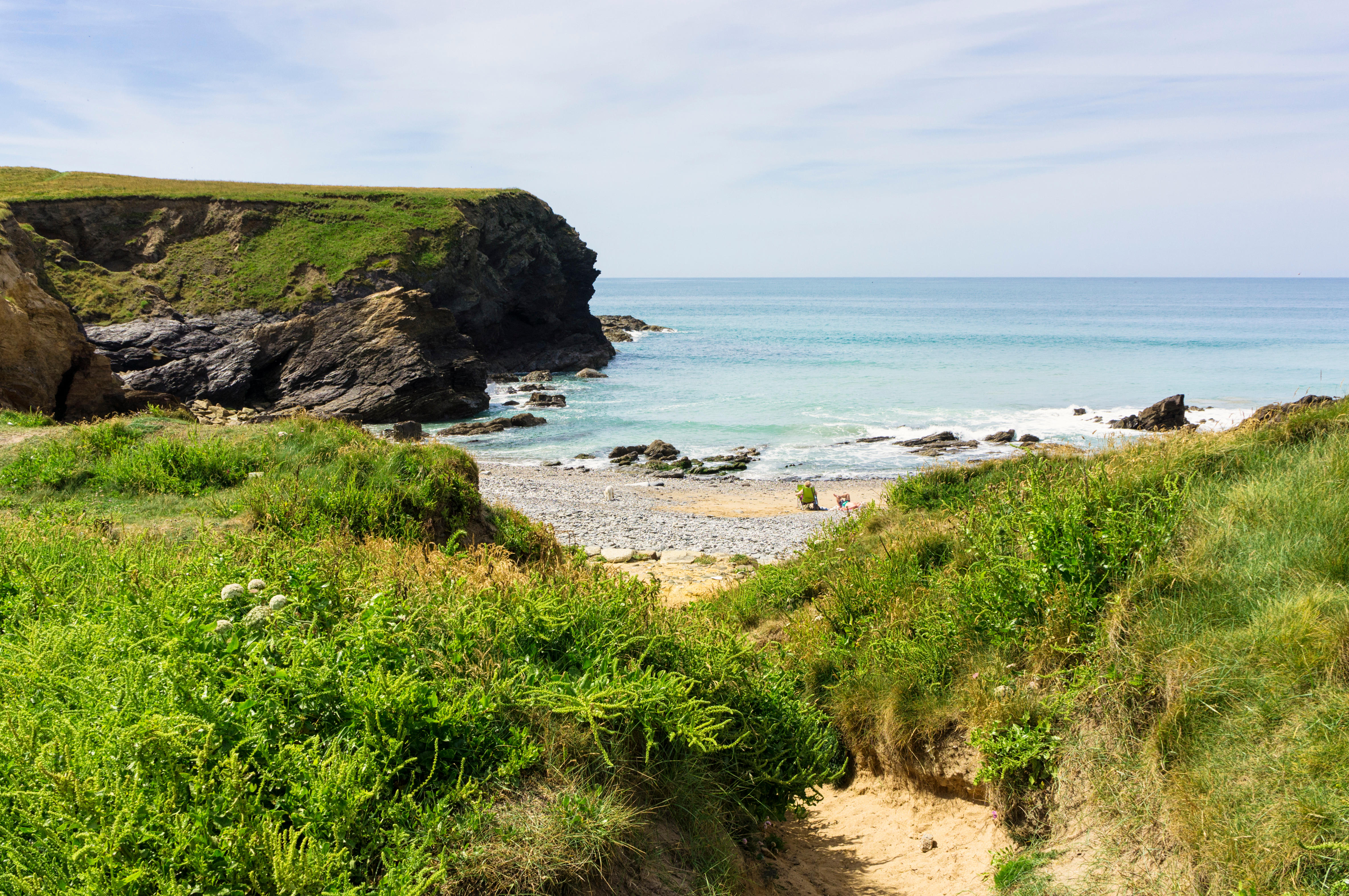 Dollar Cove