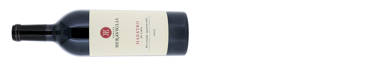 886517-Tenuta-Meraviglia-Maestro-Di-Cava-Bolgheri-Superiore-Tuscany-Italy-2019.jpg