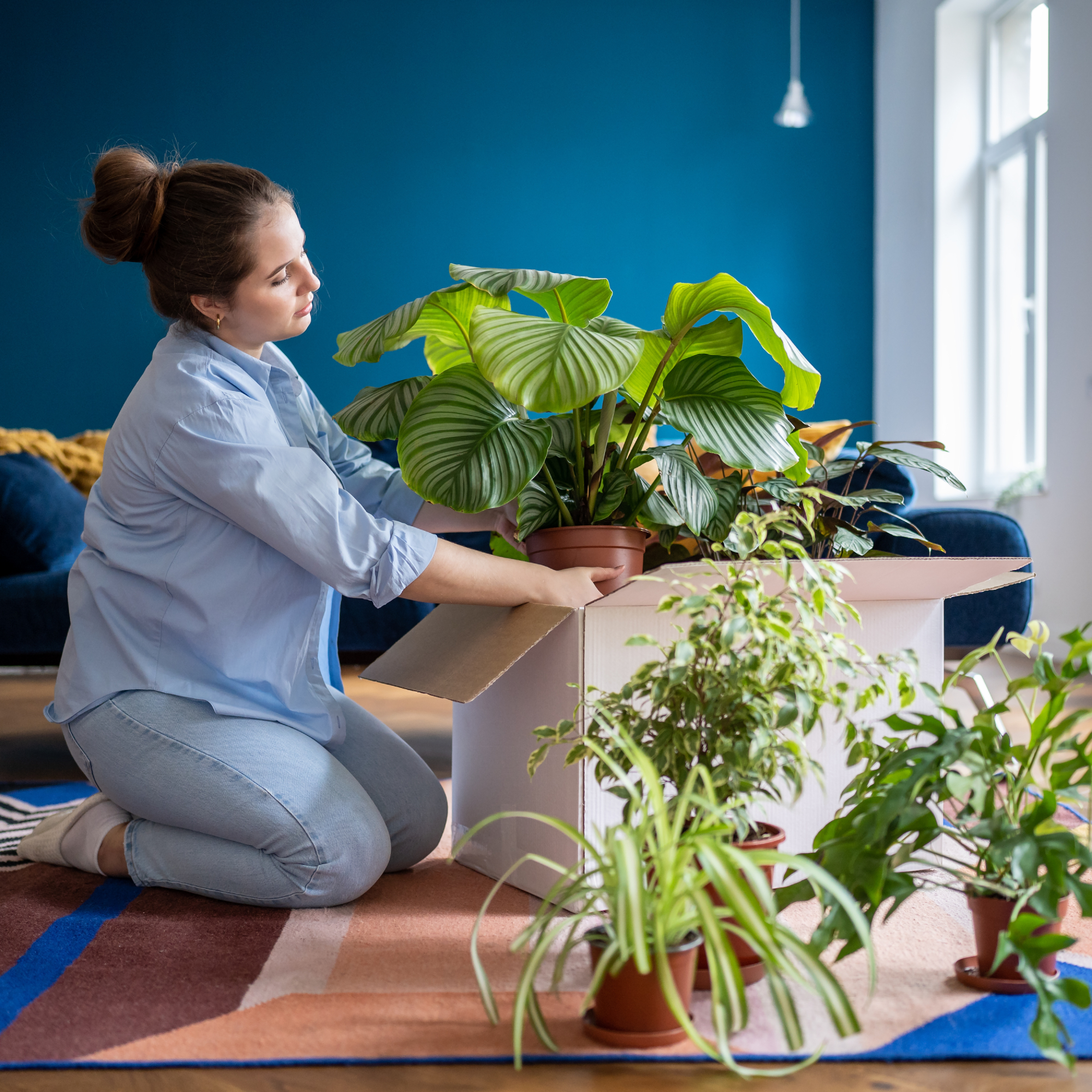 woman packing houseplants in cardboard box