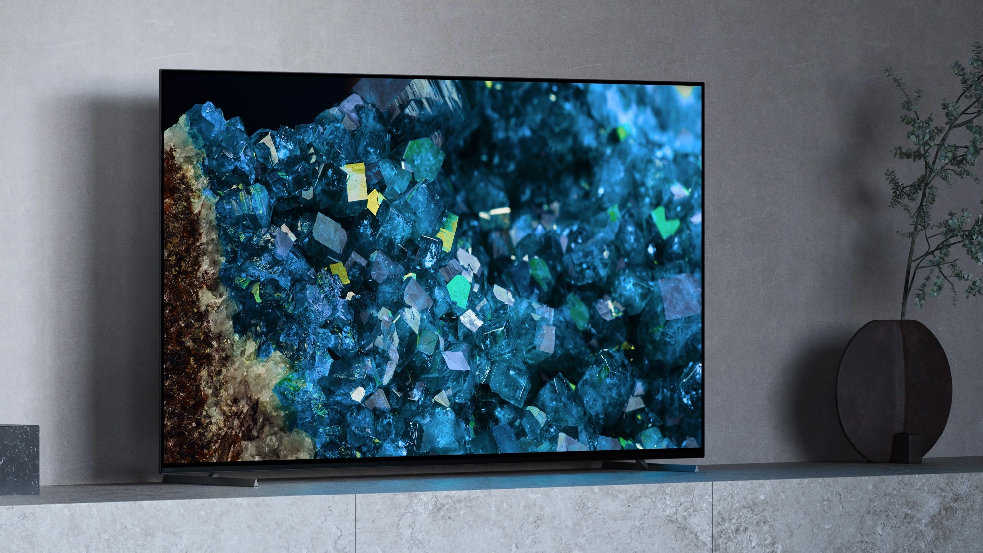 Sony Bravia XR A80L OLED TV in living room