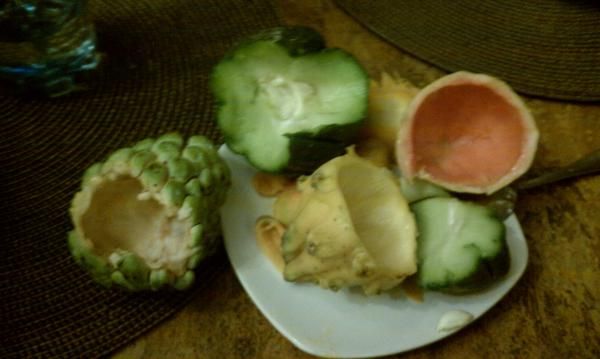 Remnants of a Colombian exotic fruit feast