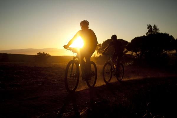 Early morning riders during the Prologue of the 2012 Absa Cape Epic Mountain Bike stage race held at Meerendal Wine Estate in Durbanville outside Cape Town, South Africa