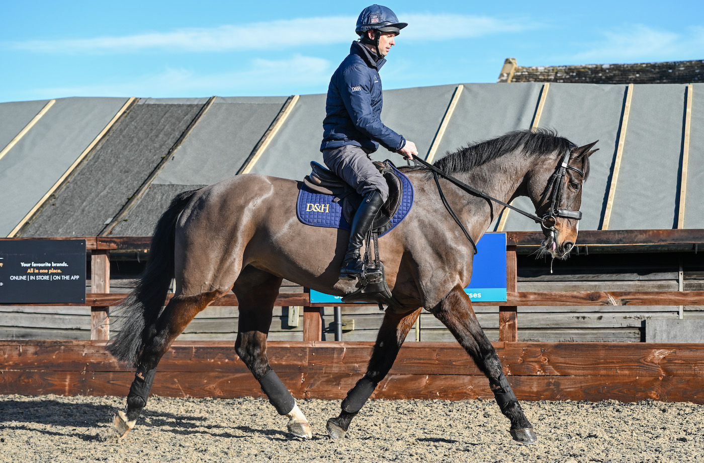Harry Meade horse management: schooling horse on a surface