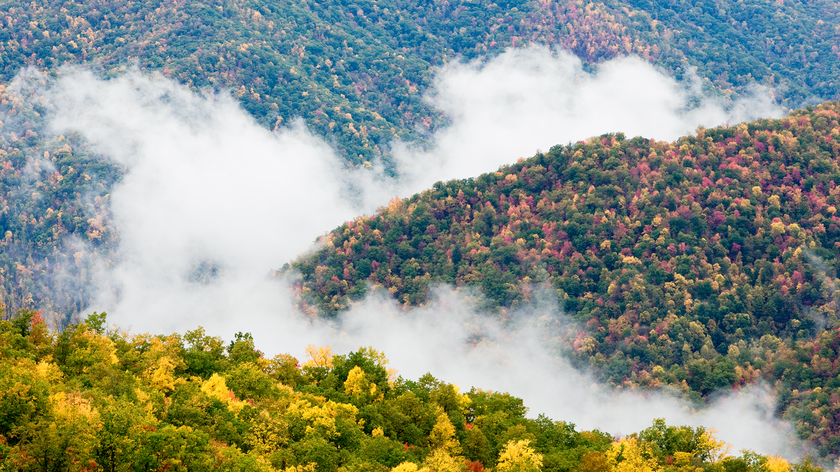 Great Smoky Mountains