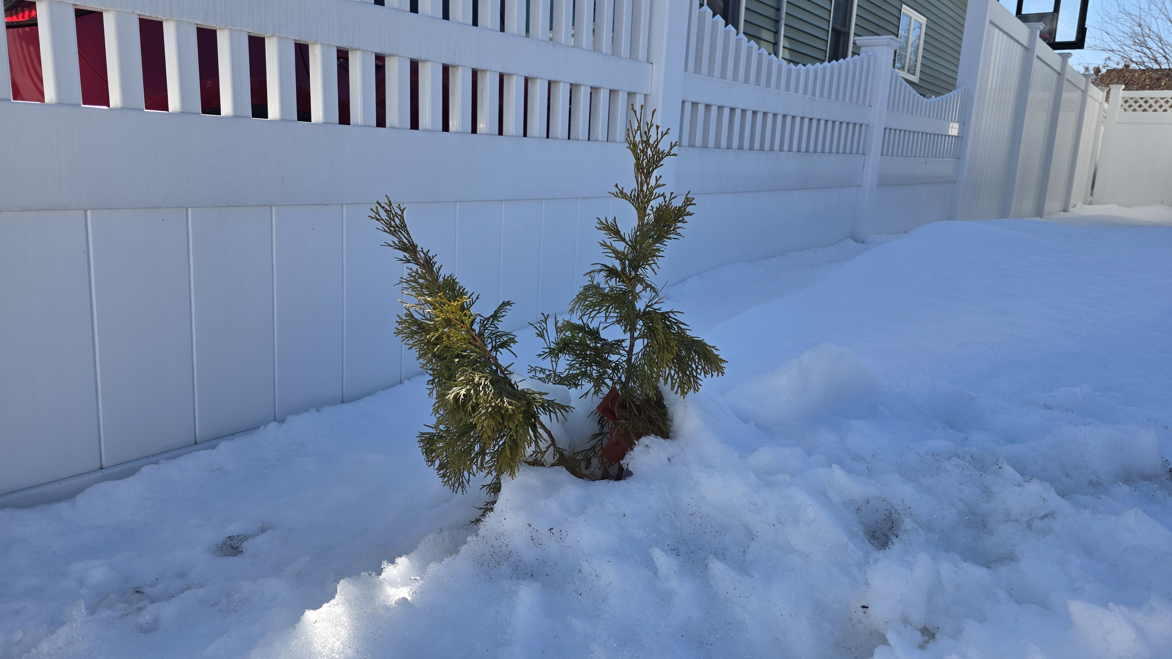 Samsung Galaxy S25 Ultra camera samples