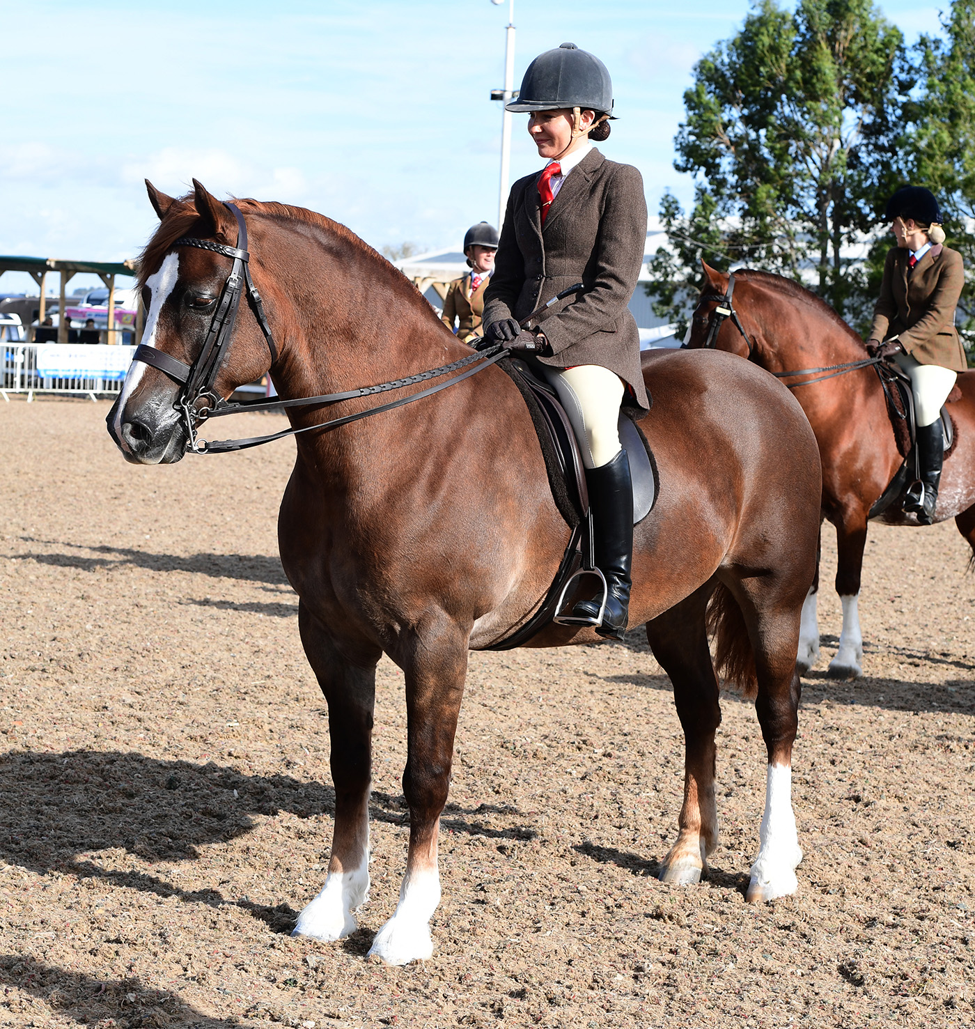 Heritage Show 15.10.2266013