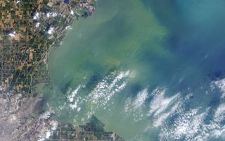 Toledo water, algae bloom, toxic algae, microcystis, lake erie