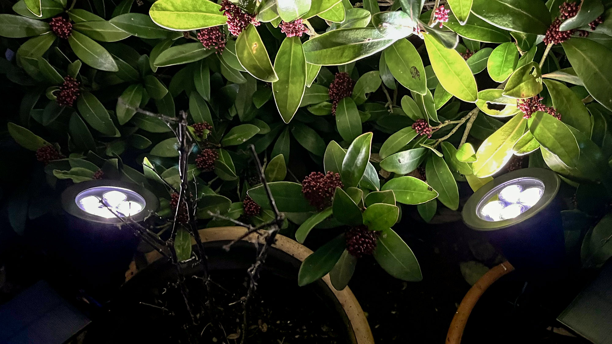 T-SUN LED Solar Spotlights