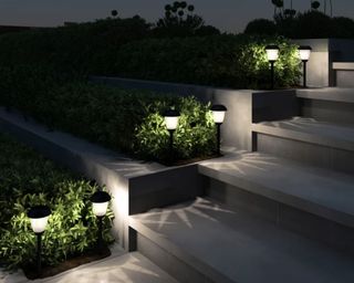 Low Voltage Solar Powered Integrated LED Metal Pathway Light Pack (Set of 8) planted along a pathway, lighting up the way