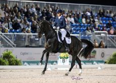 Adrienne Lyle and Salvino break the record at the Global Dressage Festival