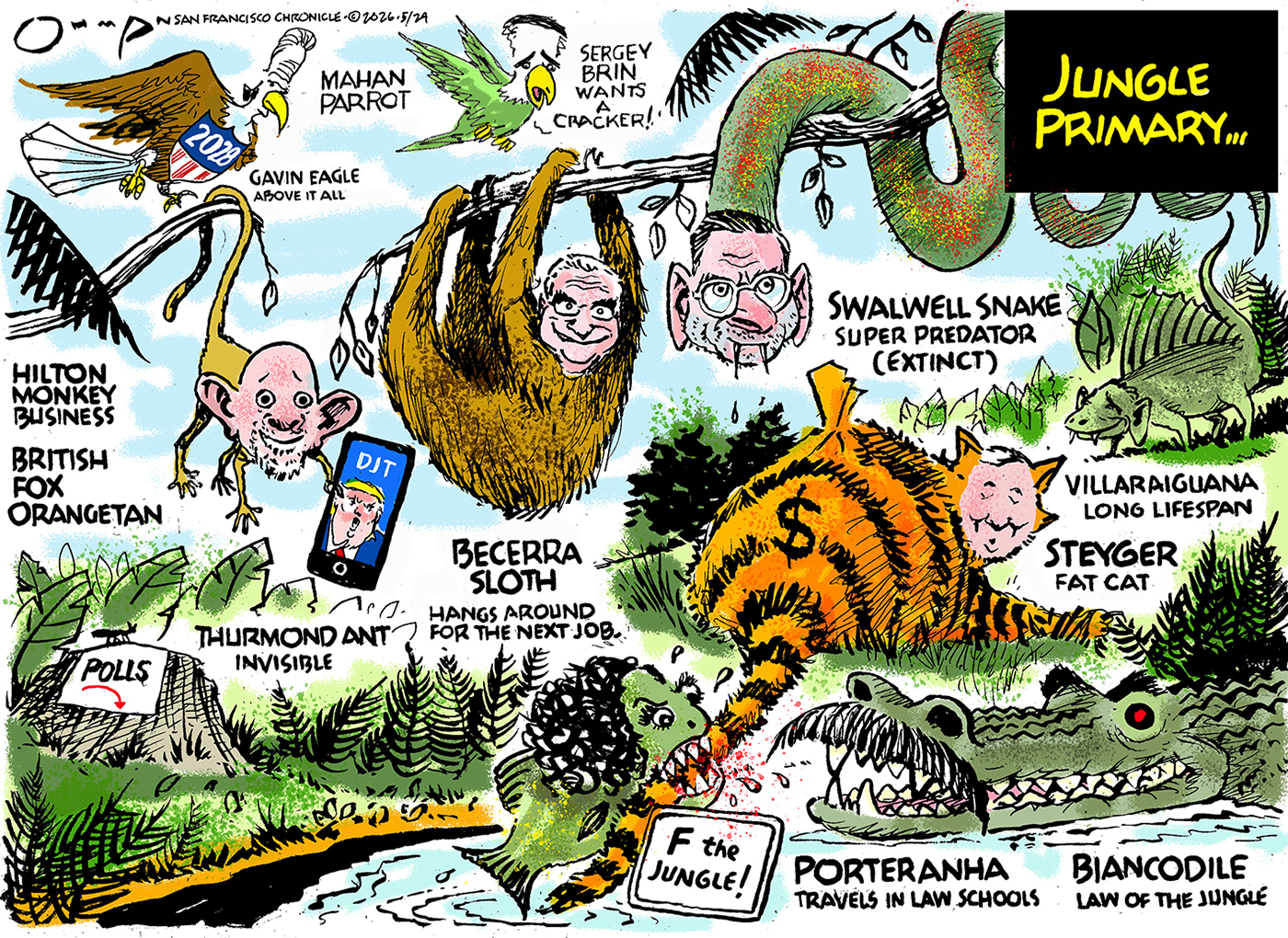 This is a political cartoon lampooning California's gubernatorial race and is titled &amp;quot;Jungle Primary&amp;quot;. It depicts various candidates as wild junglee creatures including Eric Swalwell as an extinct super-predator snake, Tom Steyer as a snoozing fat cat, Steve Hilton as a Trump-loving monkey, Xavier Becerra as a sloth hanging around for his next job, Katie Porter as a piranha biting Tom Steyer's tail, and Sergey Brin flying past next to a Gavin Newsom eagle who is above it all.