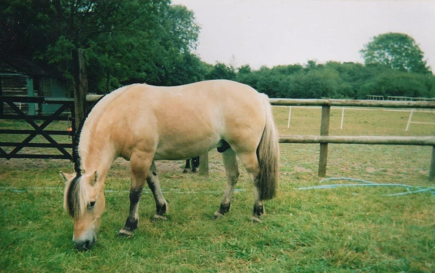 Jade3