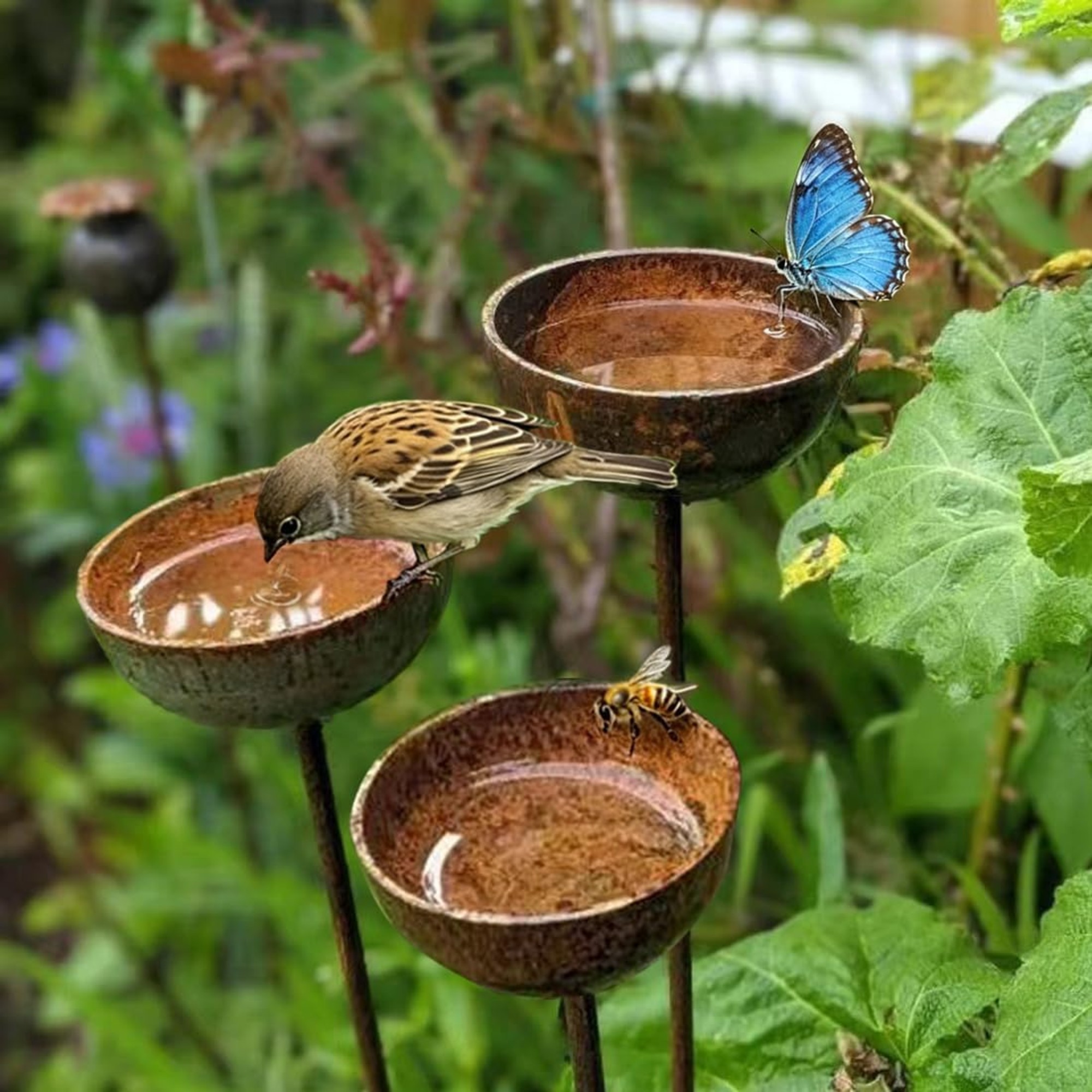 3Pcs Rain Catchers for Garden