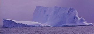 antarctic-fish-frozen-water-100831-02