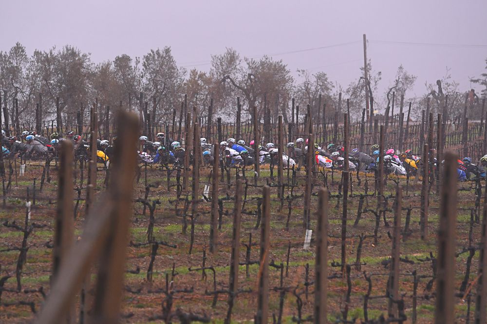 The Strade Bianche peloton rides among the grapes