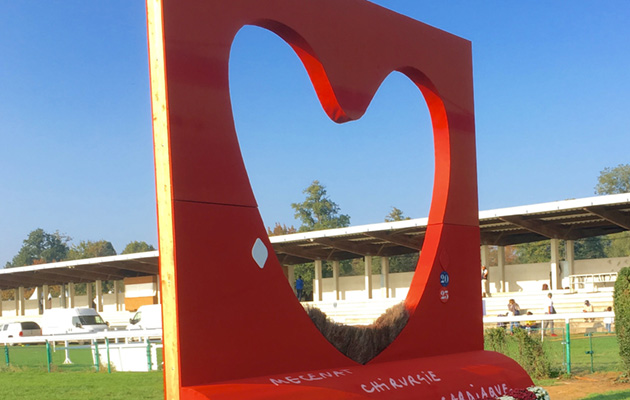 Final fence 20 (6yo) 23 (7yo) Le coeur M&amp;eacute;c&amp;eacute;nat chirugie cardia