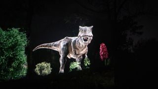 A lit up T-Rex at Dino Lumina: A Jurassic Adventure.