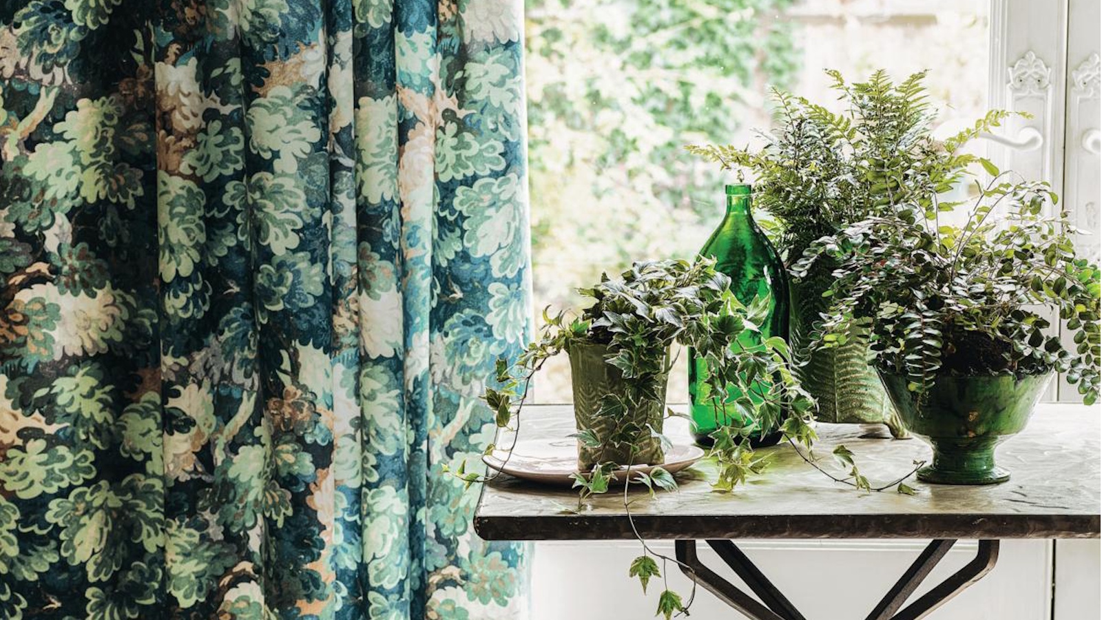 Summer houseplant care mistakes