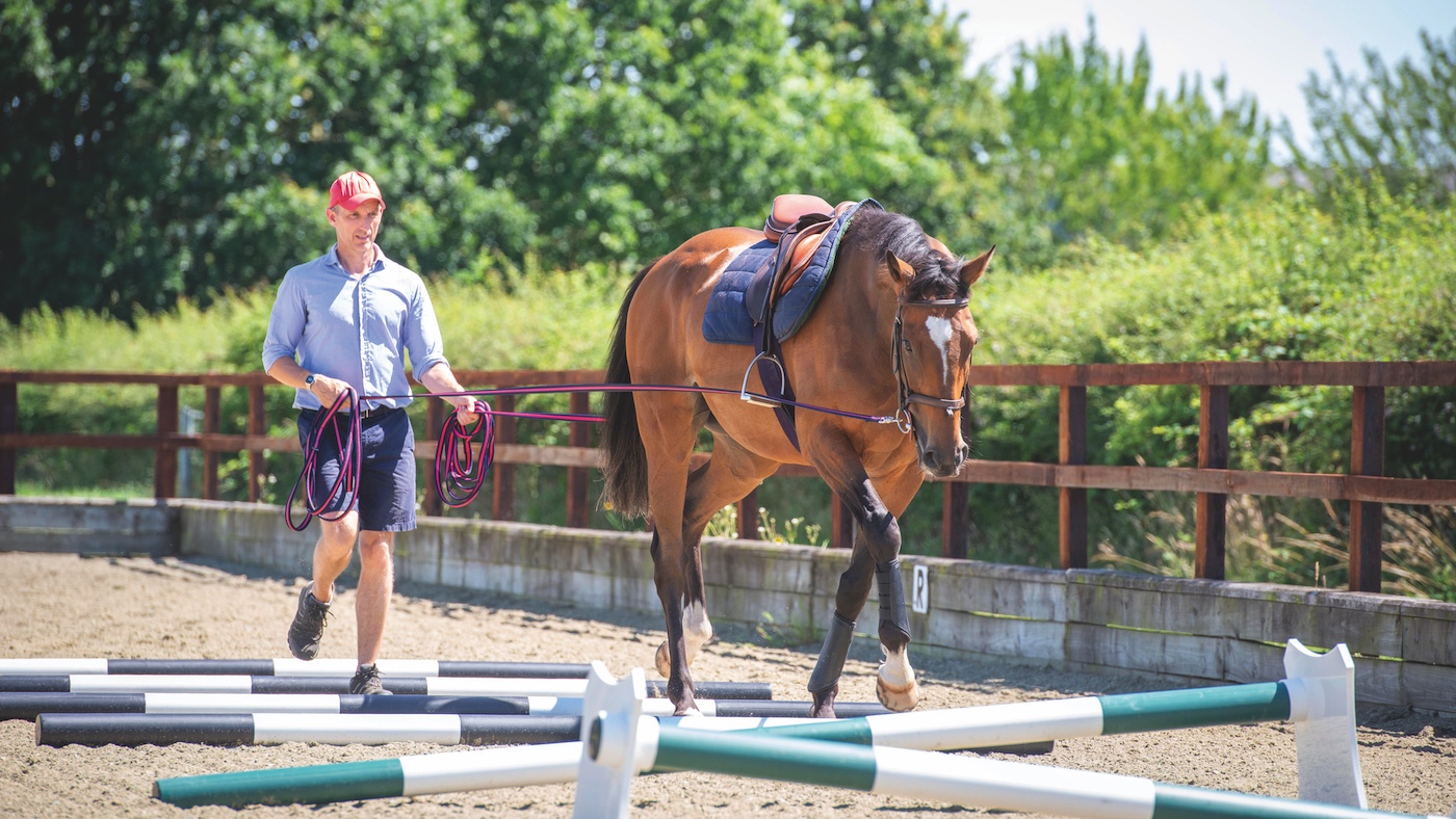 Long reining thoroughbred over poles