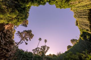 A 360º image of the Umpherston Sinkhole botanical gardens in South Australia