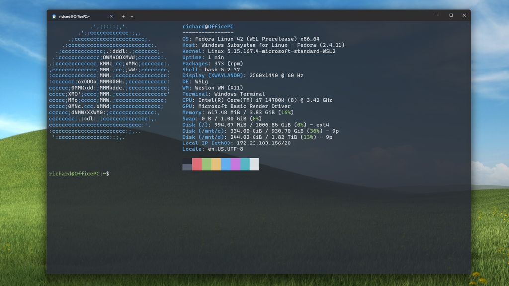 Fedora 42 prerelease build for WSL running inside Windows Terminal.