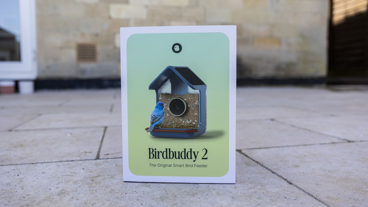 Bird Buddy 2 review: A premium smart camera upgrade with some ...