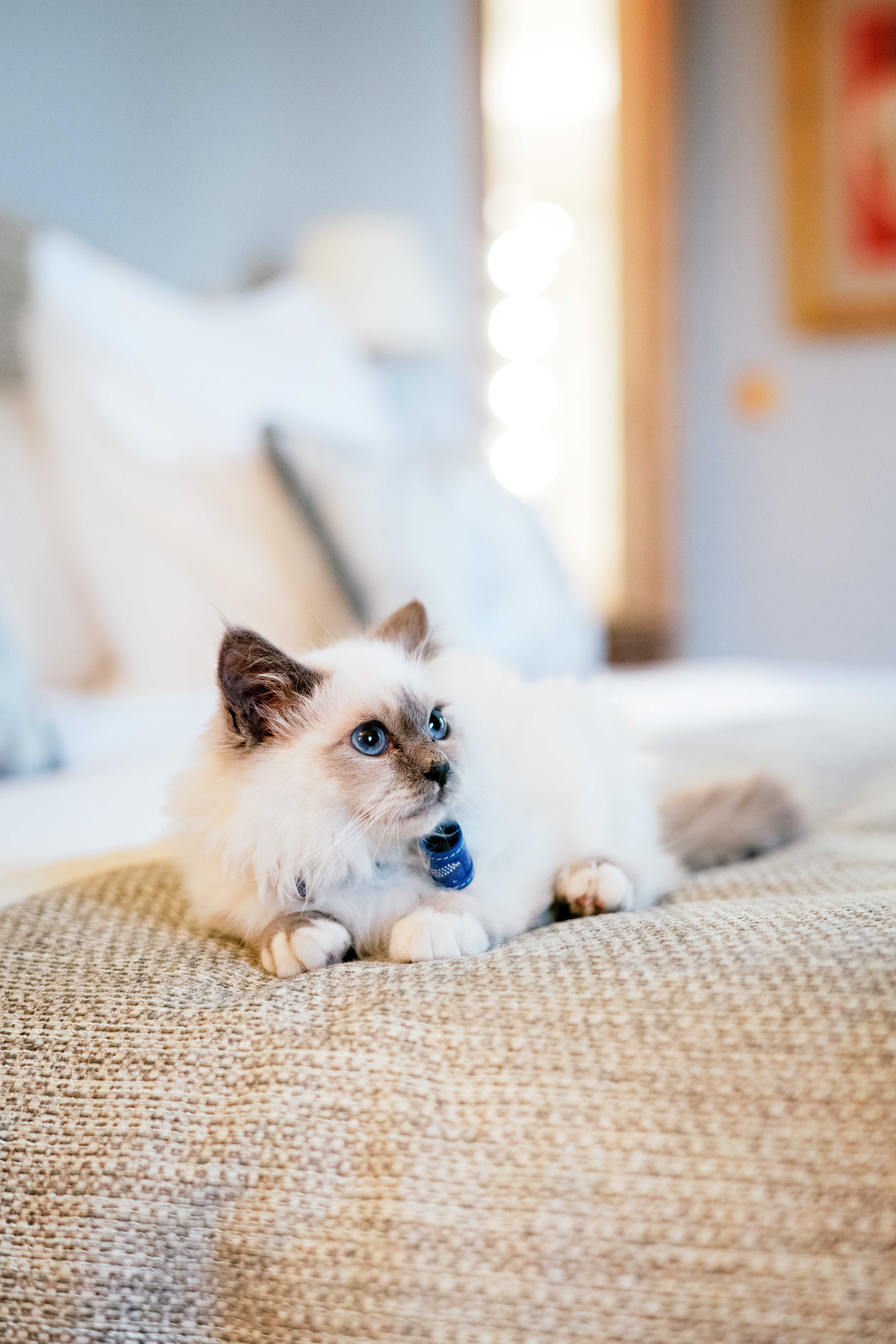 Socrate at Le Bristol