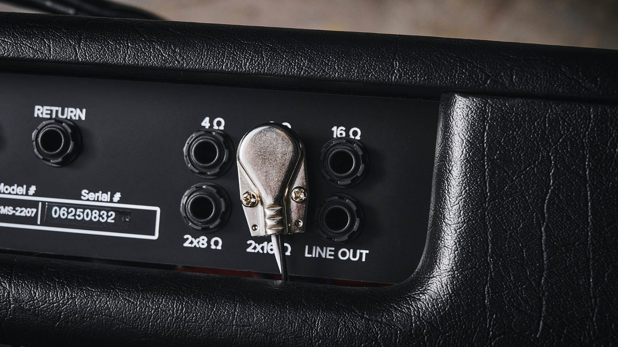 Bad Cat Mod Shop Black Cat Combo: the new boutique tube amp is photographed in closeup