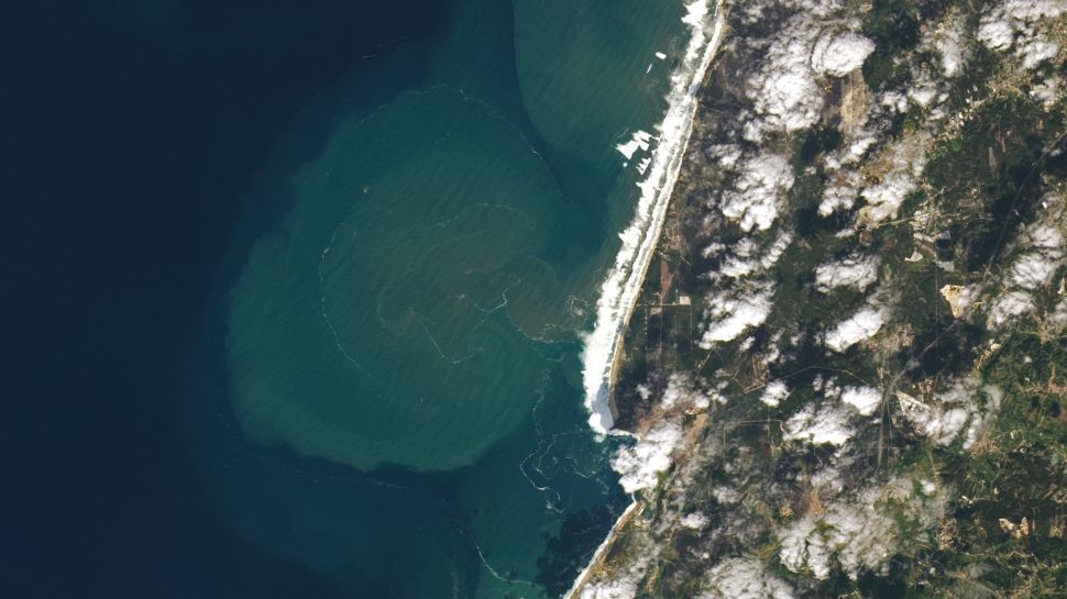 A satellite image of massive 7-story waves crashing into the Portuguese coast near Nazaré on Oct. 29 2020.