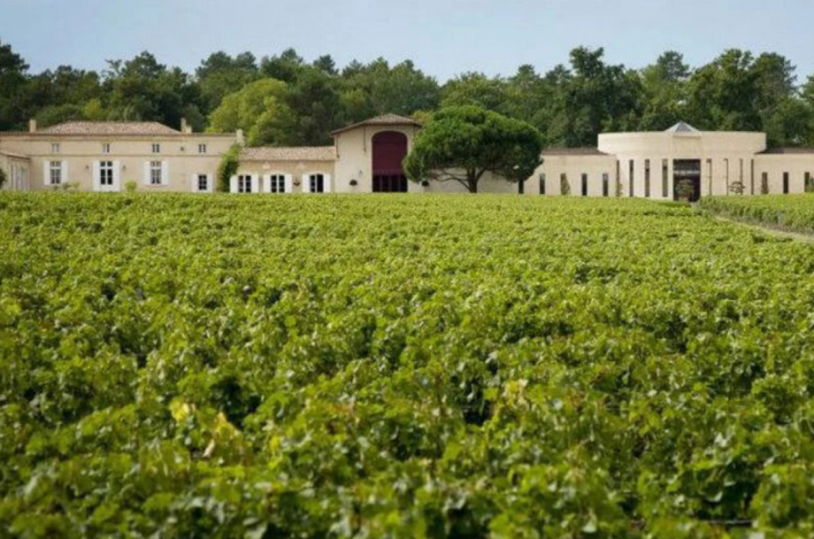 Pessac-Leognan &amp; Graves 2021