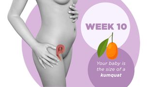 Pregnancy week by week 10