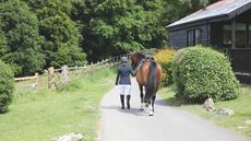 A horse rider leading a horse away from the camera on.