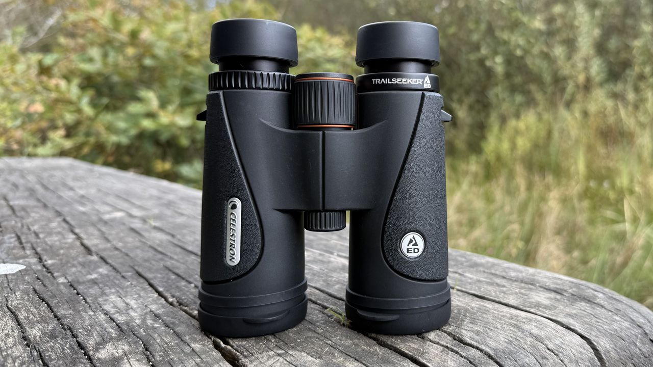 Celestron TrailSeeker ED 10x42 on a bench