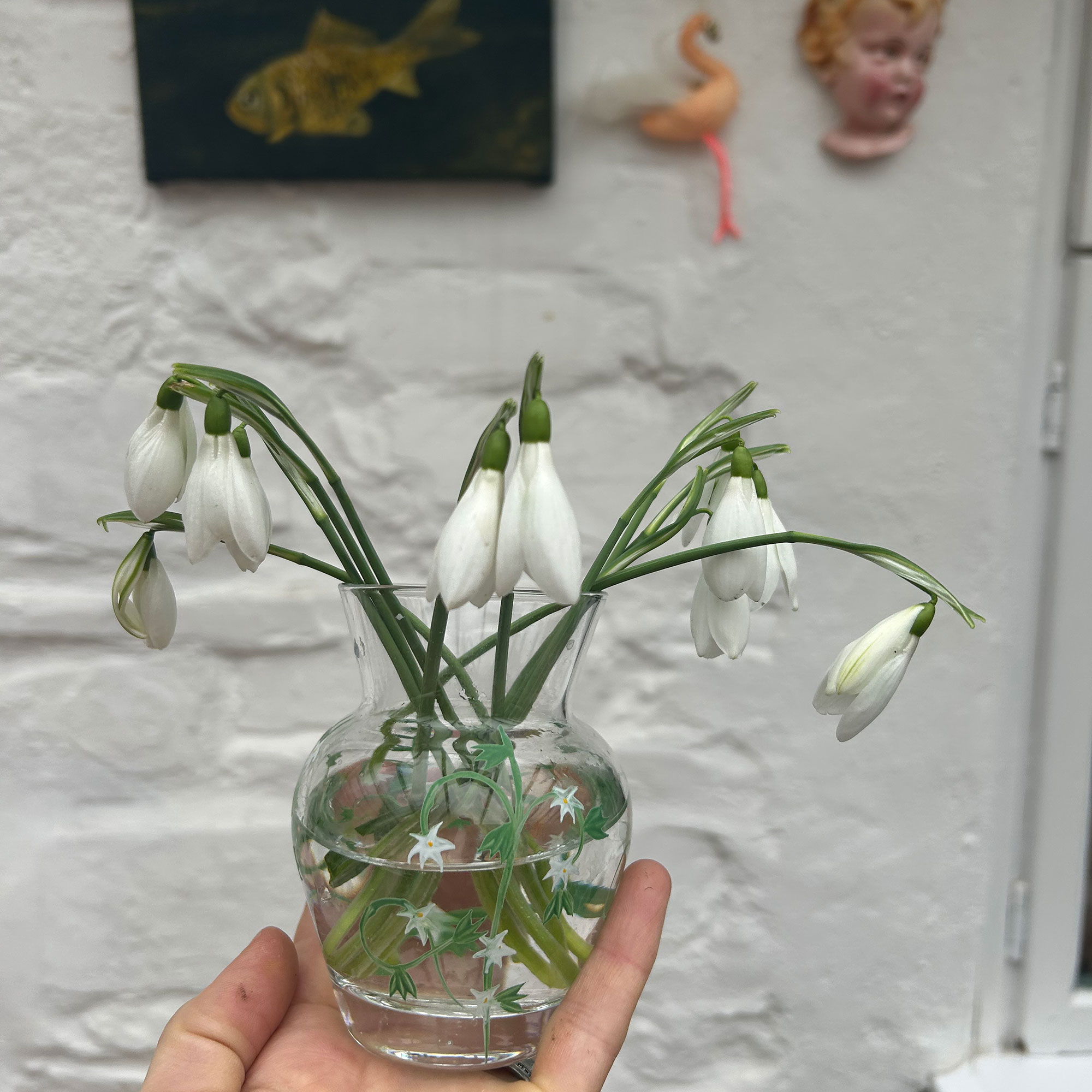 Hand holding small glass vase of snowdrops