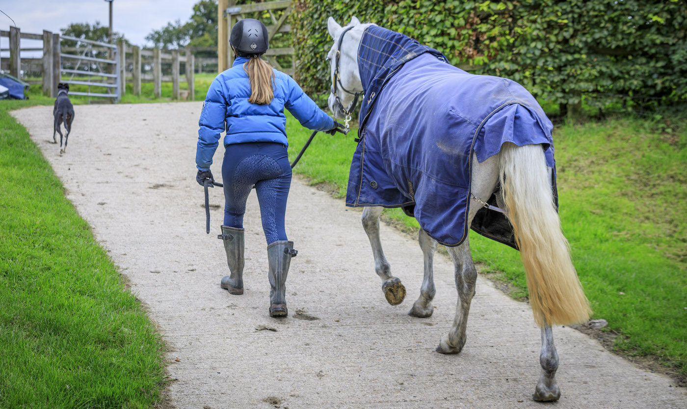 Leading horse out to the field