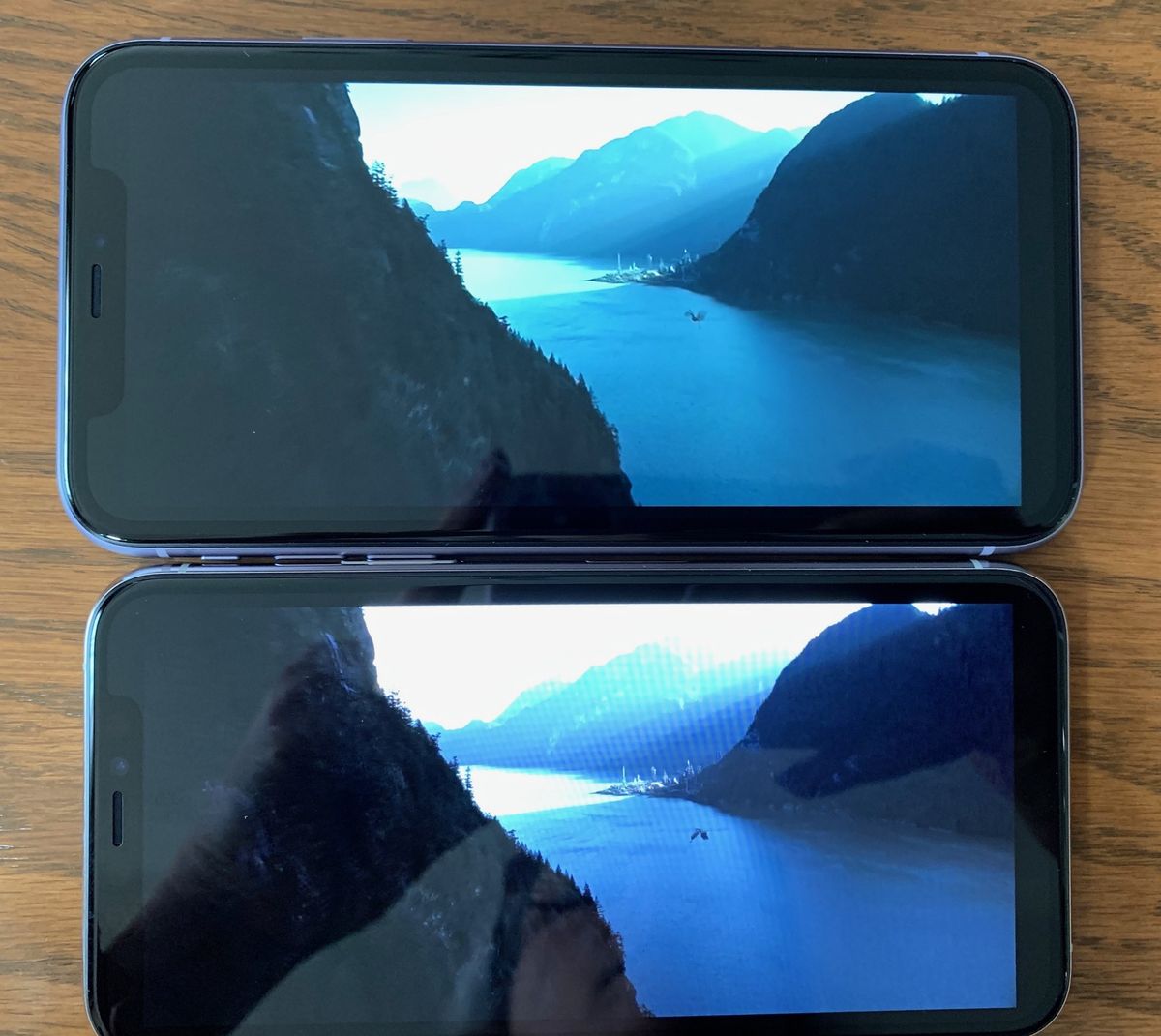 iPhone 11 vs iPhone 11 Pro display