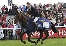 FoxPitt.jpg
