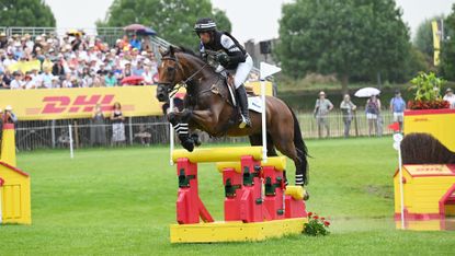 A rider in black and white colours riding a bay horse jumps a narrow fence made of yellow poles on red supports