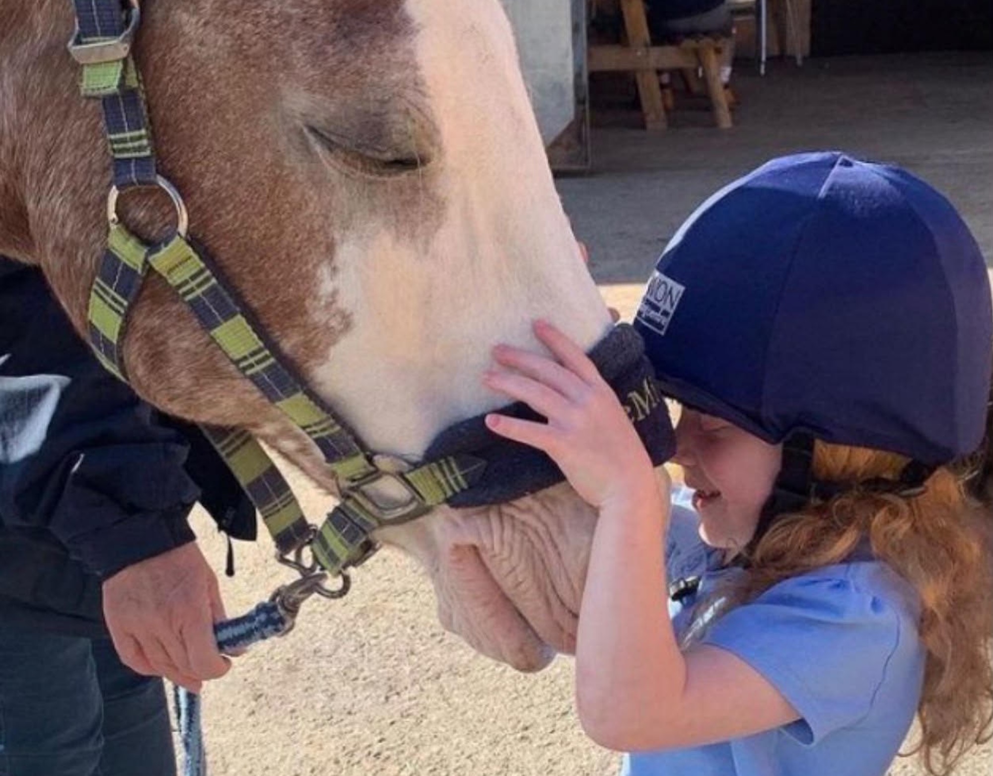 A young girl hugs a coloured pony