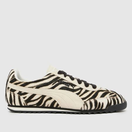 Puma Arizona in Black & White