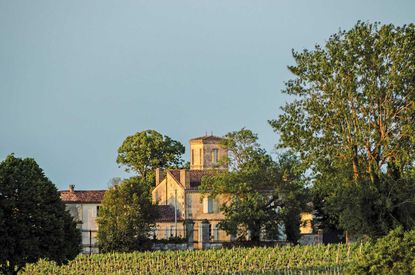 Anseillan vineyards
