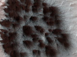 The Mars Reconnaissance Orbiter imaged terrain on Mars known as "spiders."