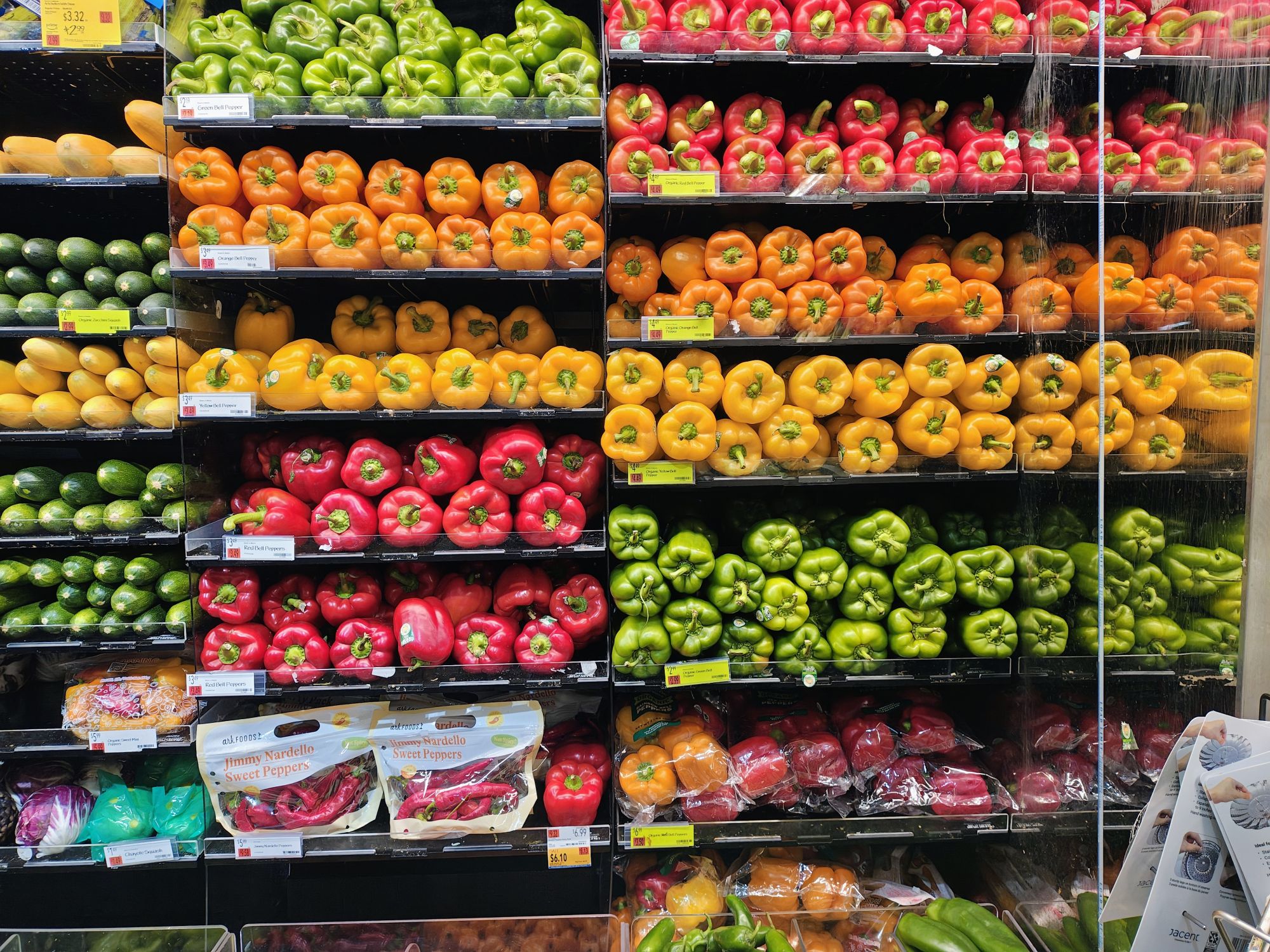 Motorola Razr Plus 2024 camera sample.