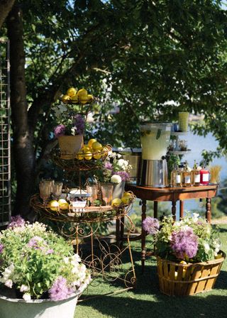 A Garden bar with accessories and drinks